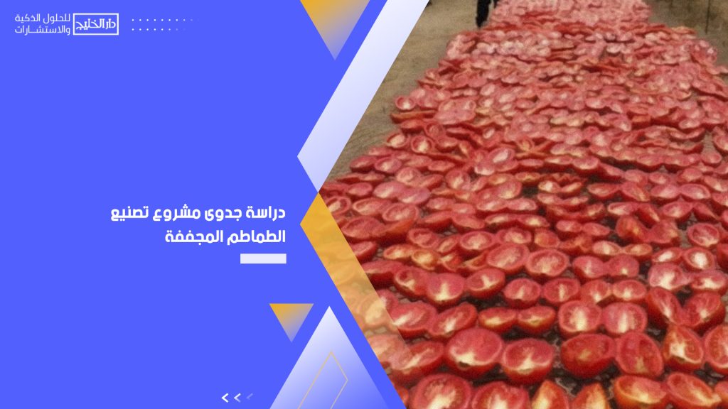 دراسة جدوى مشروع تصنيع الطماطم المجففة